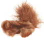 squirrel_cat_toy